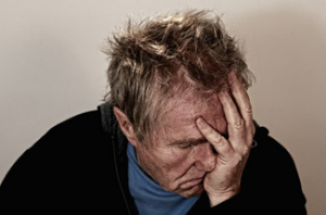 Highlight Facet Trainingen